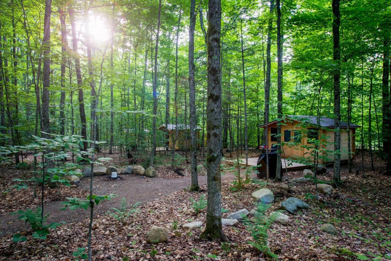 Madawaska Lodge-Cottage Екстер'єр фото