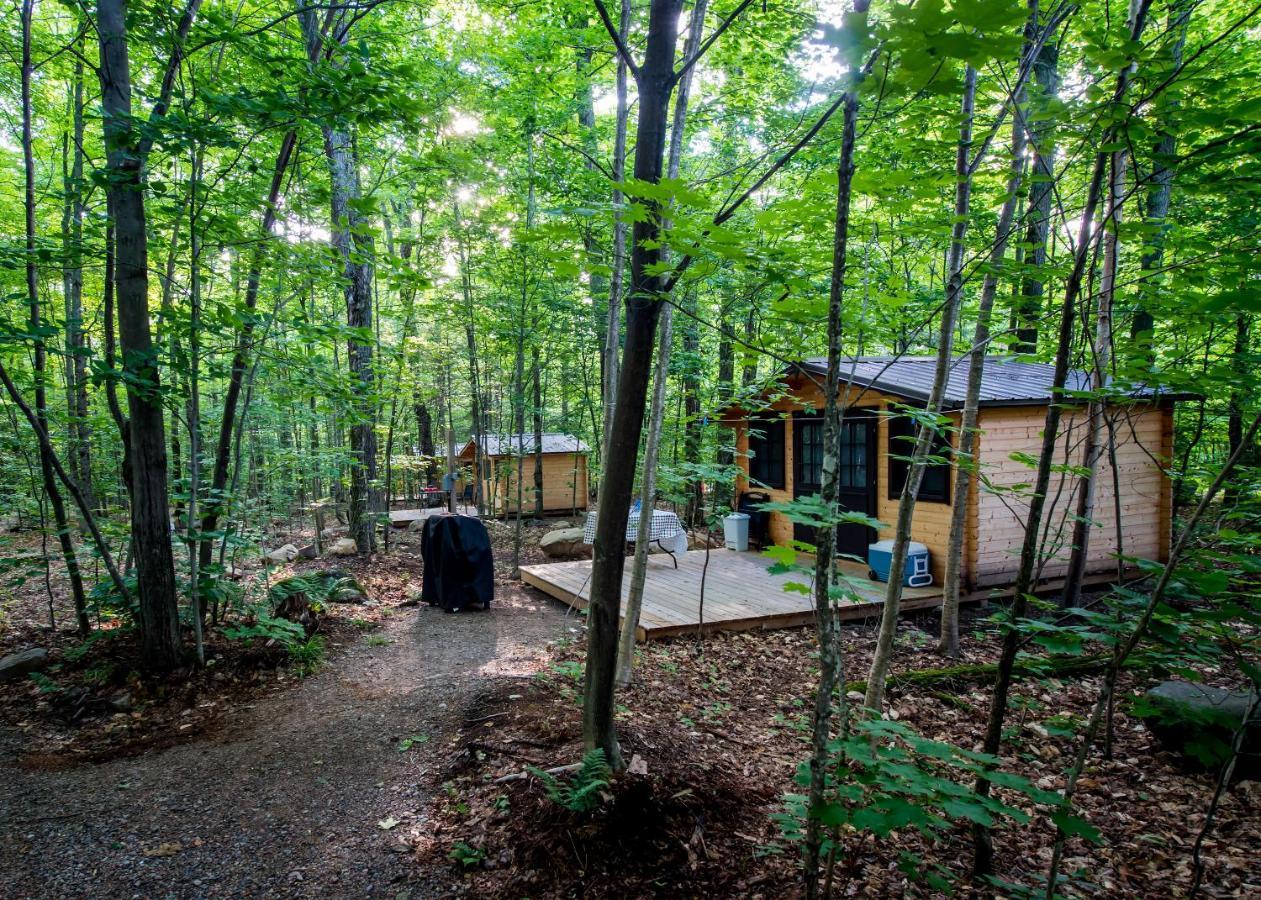 Madawaska Lodge-Cottage Екстер'єр фото
